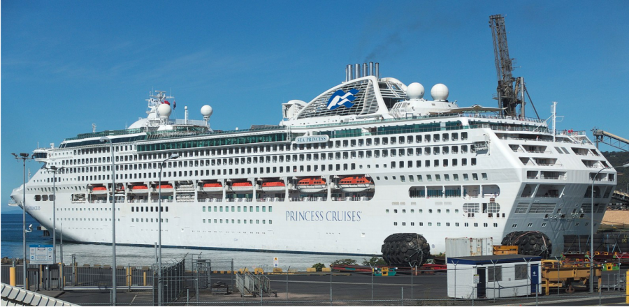 Courtesy of WIkimedia Commons (https://commons.wikimedia.org/w/index.php?search=princess+cruises&title=Special:MediaSearch&go=Go&type=image)