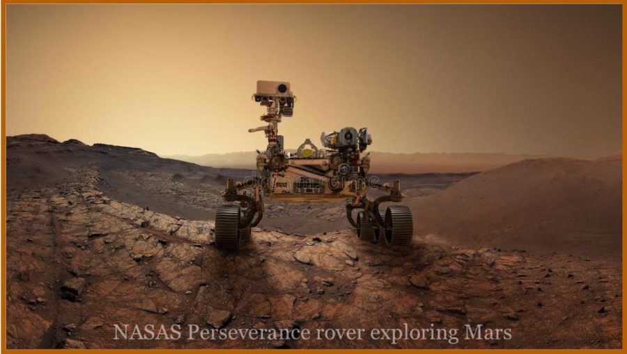 One Year of Perseverance on Mars