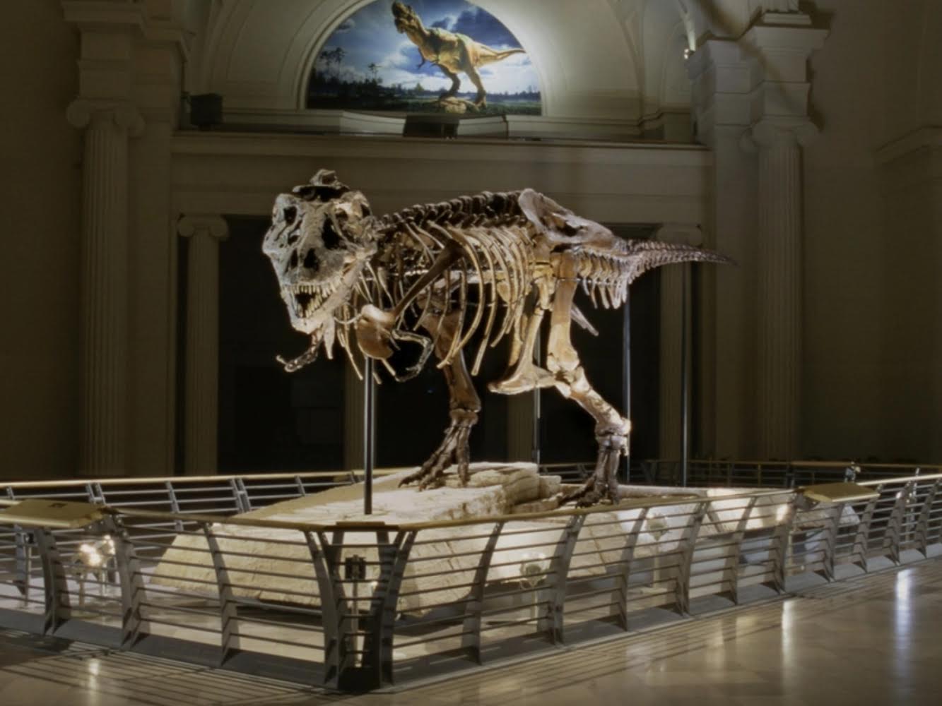 The T-Rex debate – Parks Panther Press